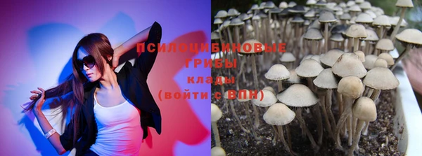 гашик Дмитровск