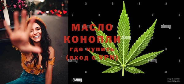 гашик Дмитровск