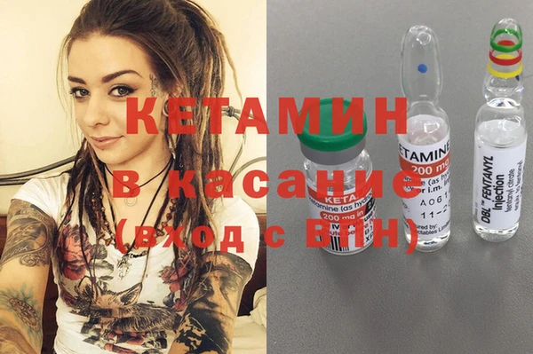 гашик Дмитровск