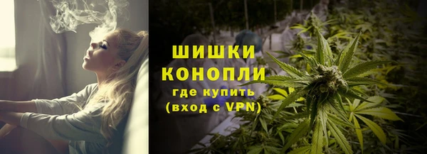 гашик Дмитровск