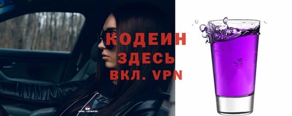 гашик Дмитровск