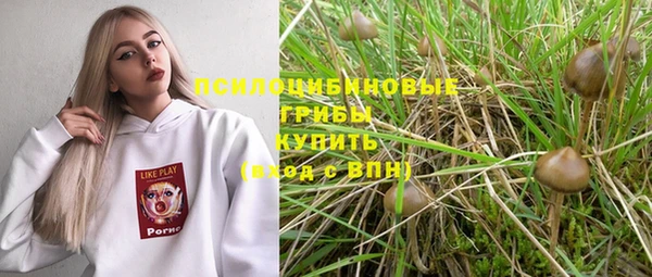 кристаллы Дмитриев