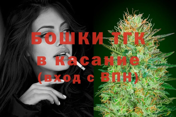 гашик Дмитровск