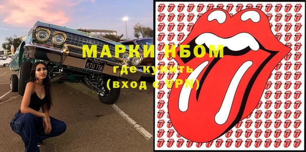 гашик Дмитровск