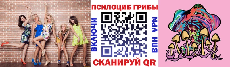 Купить закладки  Карачев  Галлюциногенные грибы Cubensis 